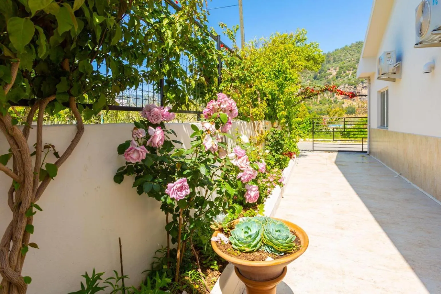 Villa Zonkdemir Dalyan
